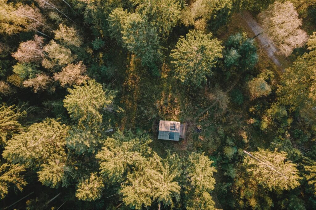 A secluded off the grid cabin nestled deep in the forest, designed for self-sufficient living with solar panels