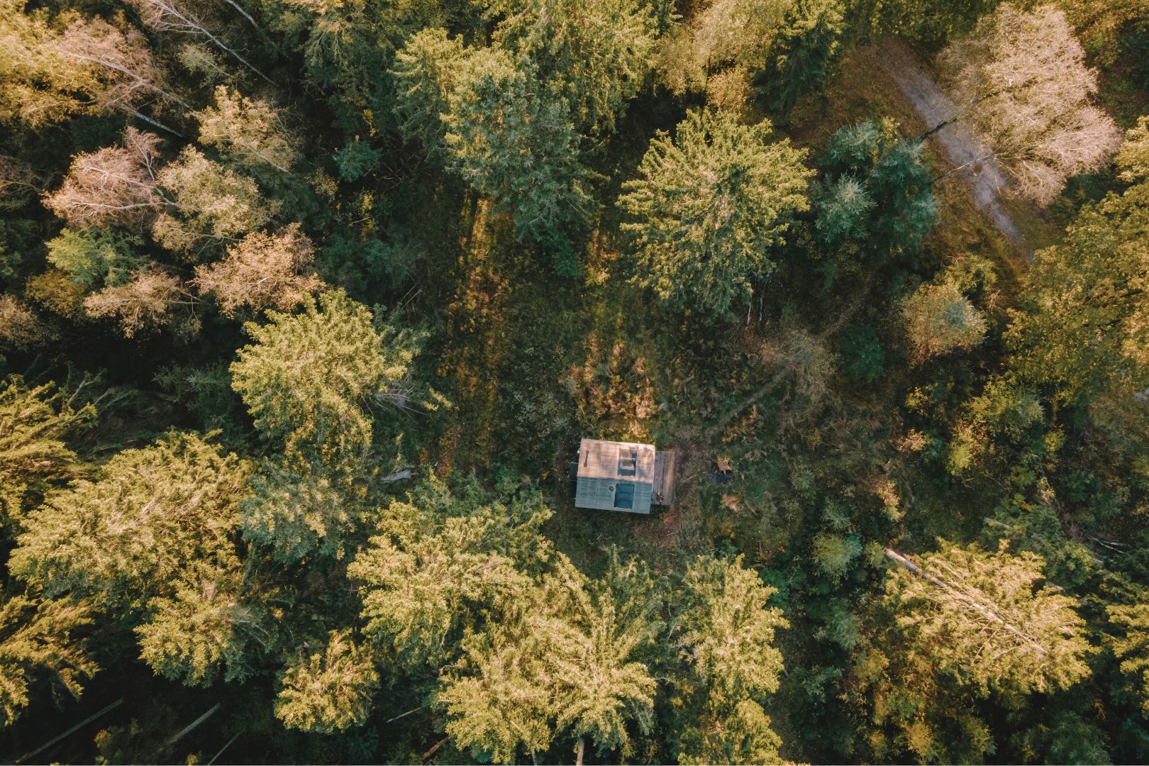 A secluded off the grid cabin nestled deep in the forest, designed for self-sufficient living with solar panels